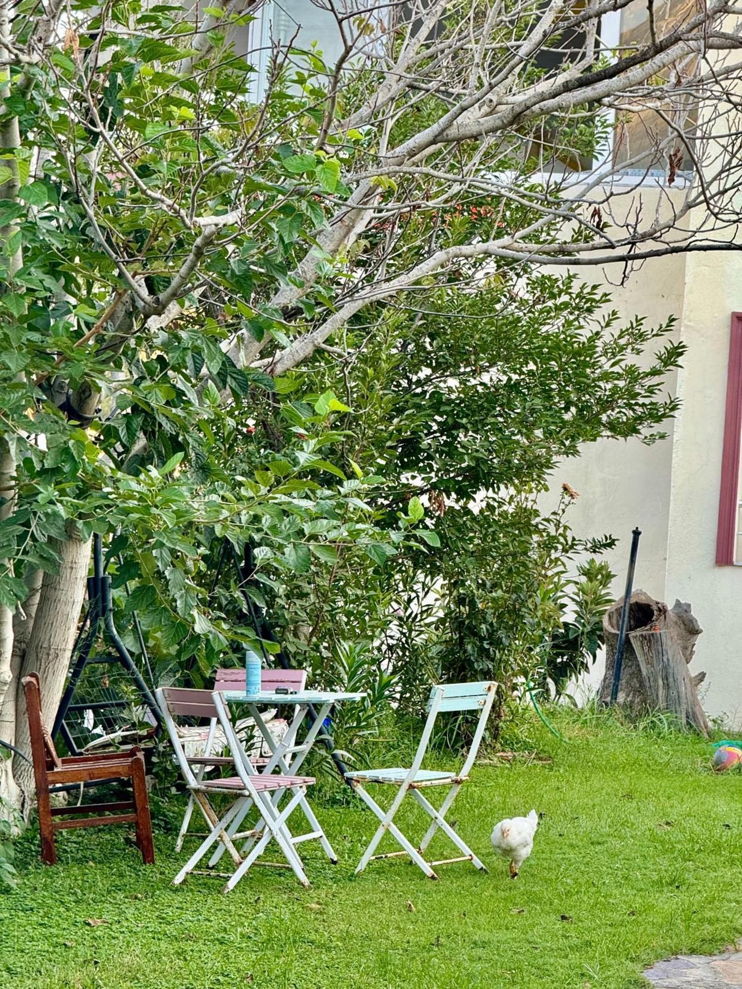 Rose Hotel B&B Πάταρα Εξωτερικό φωτογραφία