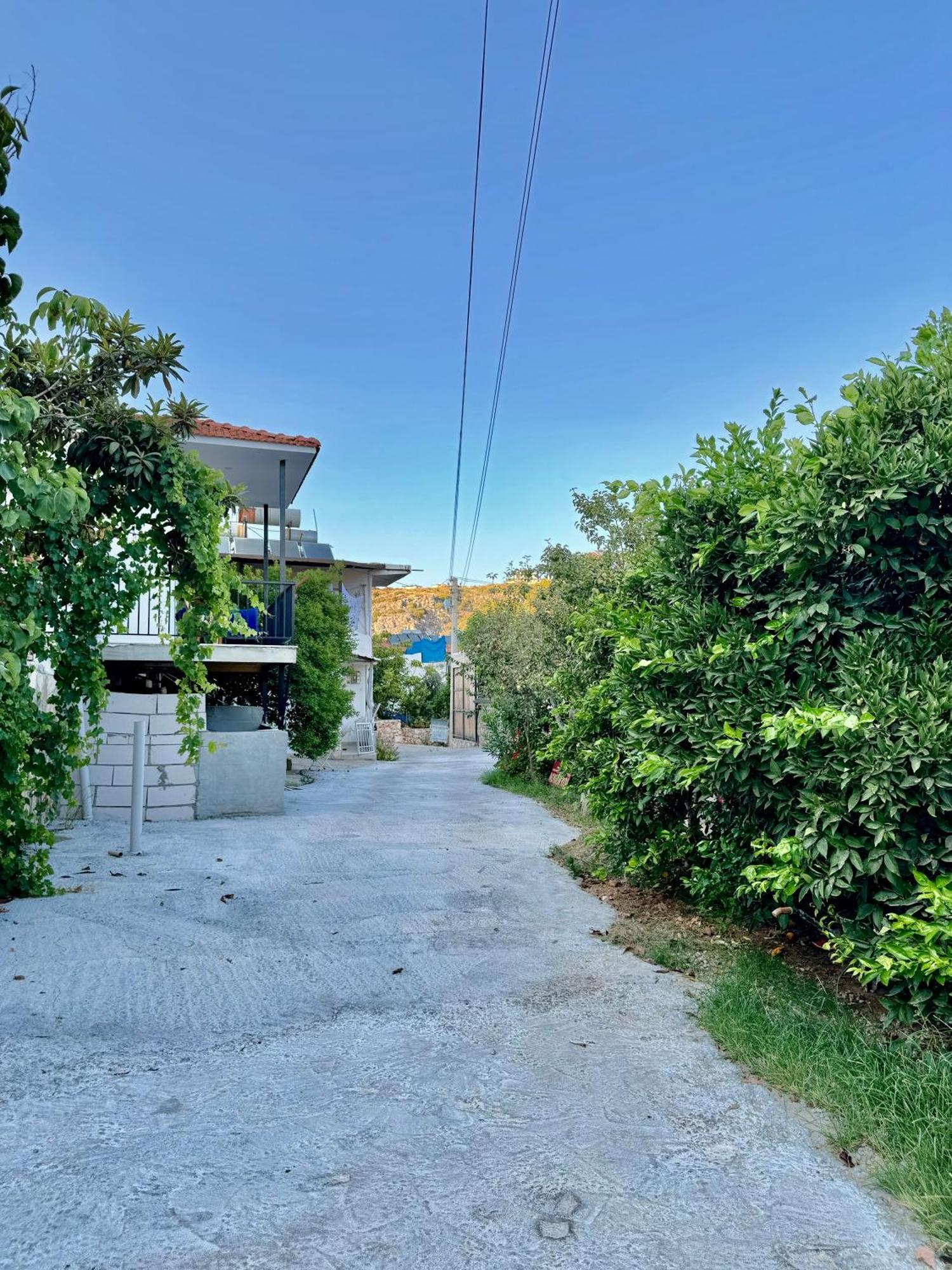 Rose Hotel B&B Πάταρα Εξωτερικό φωτογραφία