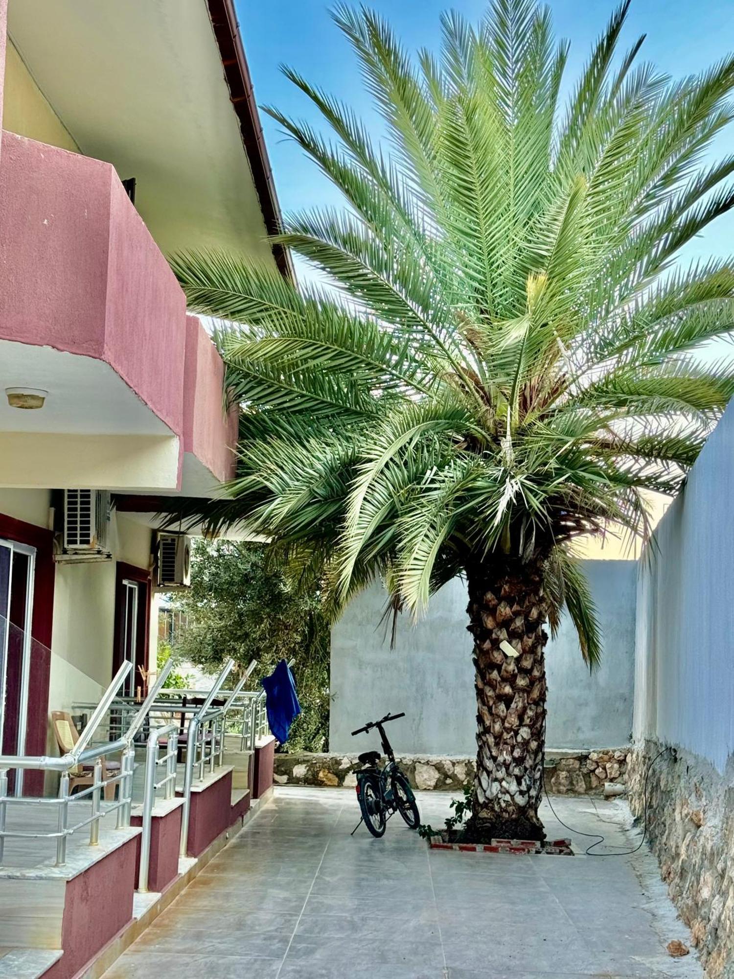 Rose Hotel B&B Πάταρα Εξωτερικό φωτογραφία