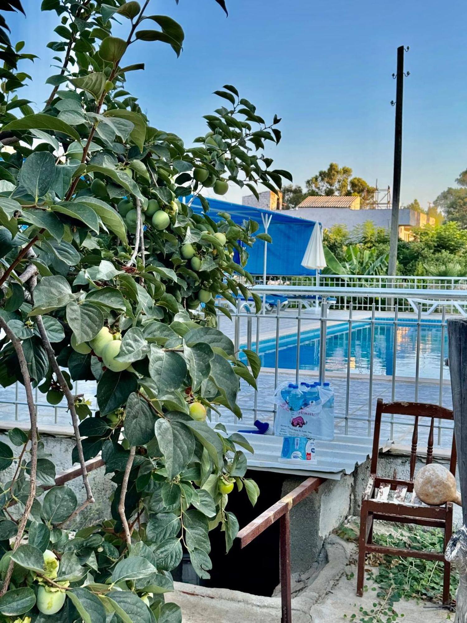 Rose Hotel B&B Πάταρα Εξωτερικό φωτογραφία