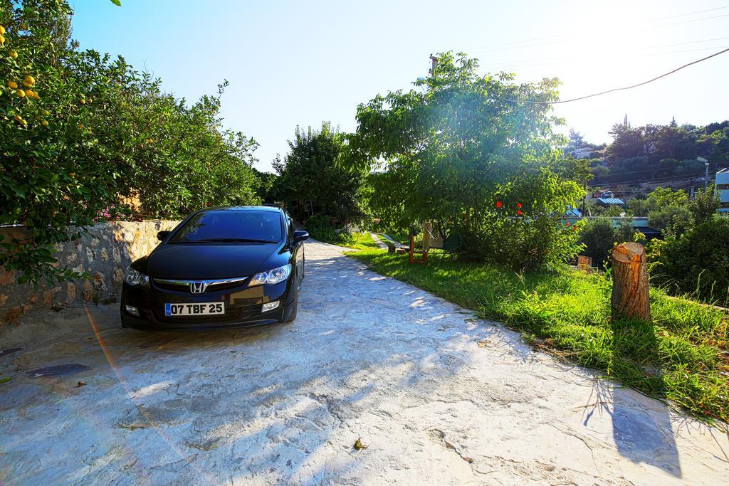 Rose Hotel B&B Πάταρα Εξωτερικό φωτογραφία