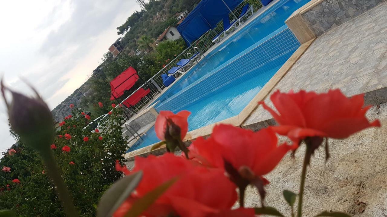 Rose Hotel B&B Πάταρα Εξωτερικό φωτογραφία